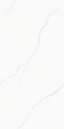 ZYB157101-2