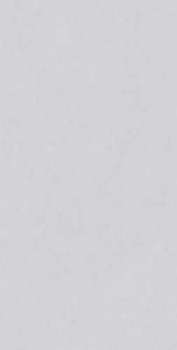 ZYB612203
