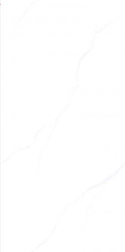 ZYB612101_11