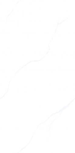 ZYB612101_15