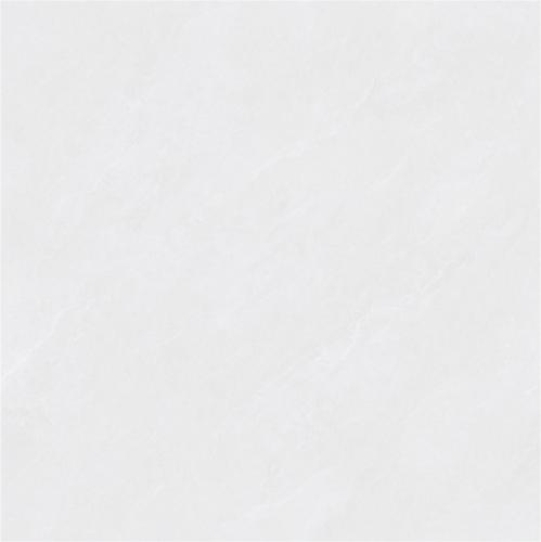 ZYB8868_02
