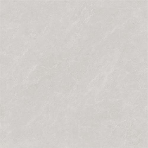 ZYB8869_02