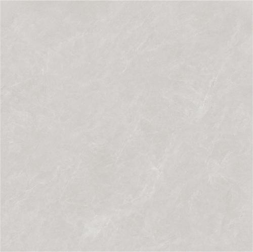 ZYB8869_03