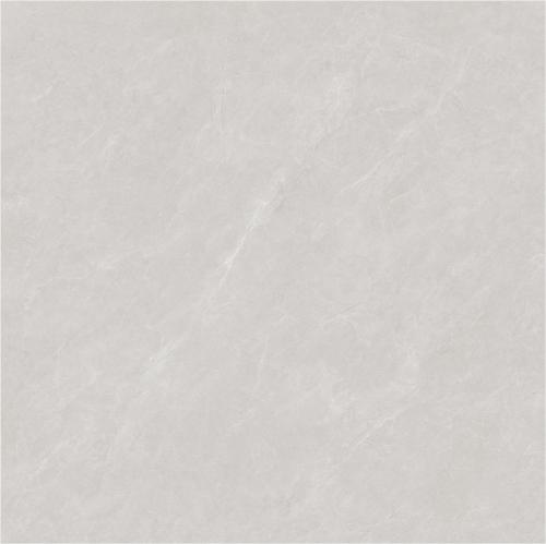 ZYB8869_04